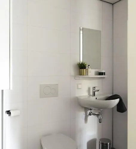 Chalet Tiny House 'het Berkenhuisje'