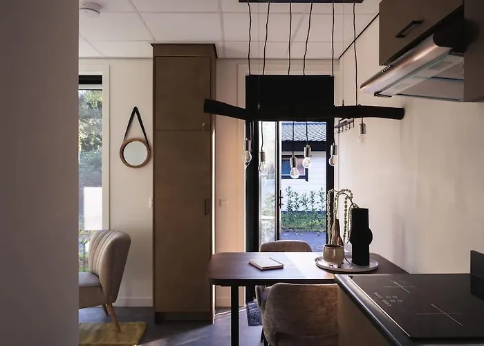 Tiny House 'het Berkenhuisje' Domek alpejski Voorthuizen