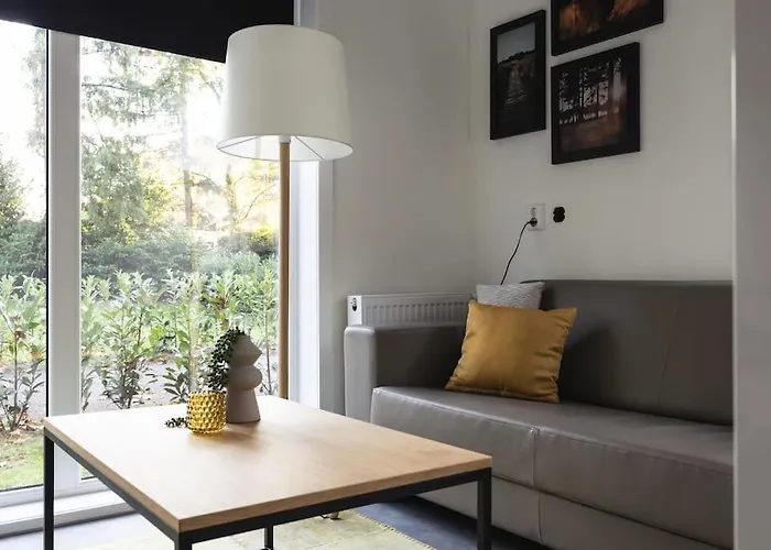 Tiny House 'het Berkenhuisje' * Voorthuizen