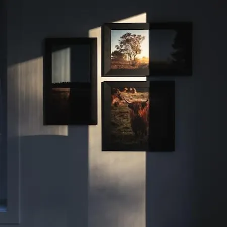 Σαλέ Tiny House 'het Berkenhuisje' *