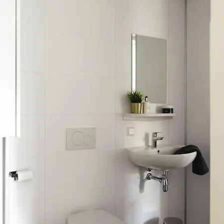 Σαλέ Tiny House 'het Berkenhuisje'