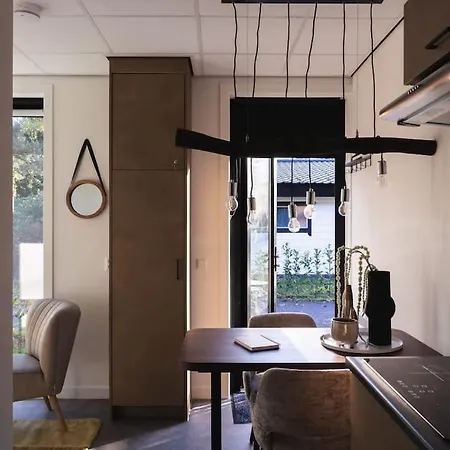 Tiny House 'het Berkenhuisje' Chalet Voorthuizen