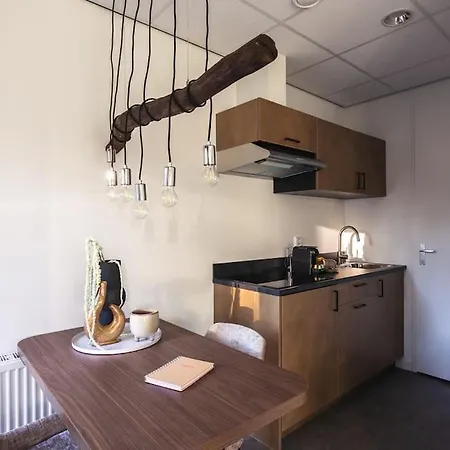Σαλέ Tiny House 'het Berkenhuisje' Voorthuizen
