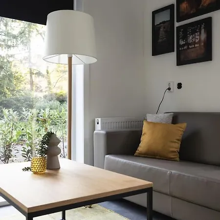 Tiny House 'het Berkenhuisje' * Voorthuizen