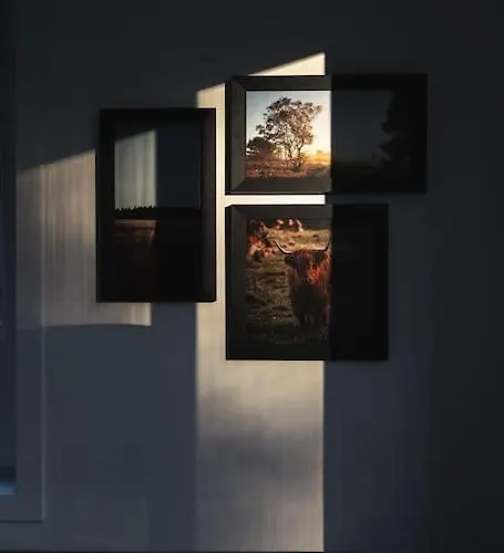 Alpehytte Tiny House 'het Berkenhuisje' *