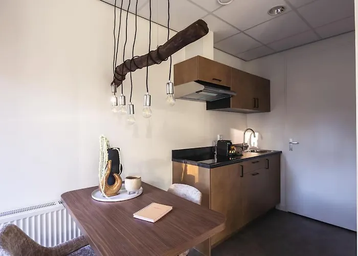 Alpehytte Tiny House 'het Berkenhuisje' Voorthuizen