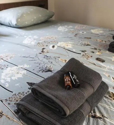 Alpehytte Tiny House 'het Berkenhuisje' *