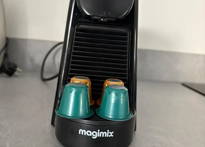 Alpehytte Tiny House 'het Berkenhuisje' *